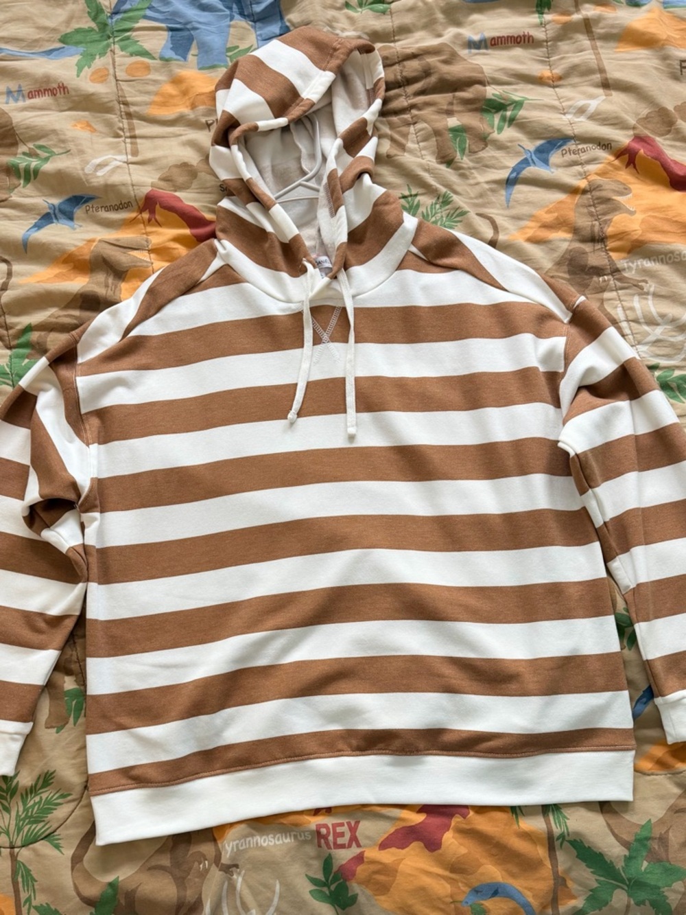 Women’s Hooded Stripe Shirt - Brown & White
